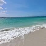 Barbara Loar Linthicum - @linthicumbarbara - Instagram