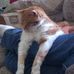 Barbara Spaulding Linthicum - Facebook
