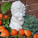 Barbara Lipper - @lipperbarbara - Instagram