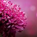 Barbara Liss - Facebook