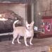 Barbara Littrell - Facebook