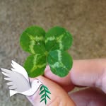Barbara Ward Littlejohn - @littlejohnbarbara - Instagram