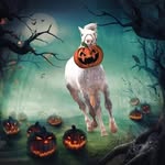 Barbara Lively - @barbara.lively.3 - Instagram