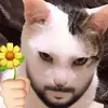 Barb - @barbaralix8 - TikTok