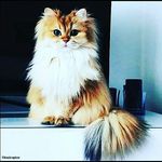 Barbara Flores Lizardo - @flores.barbara11 - Instagram