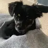 Barbara.Llamas - @dashamkfccs - TikTok