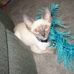Barb Loar - Facebook