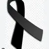 721576285 - @barbaralober - TikTok