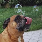 Barbara Locatelli - @barbyloca74 - Instagram