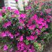 Barbara Locklin - Facebook