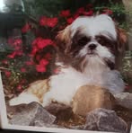 Barbara Lockridge - Facebook