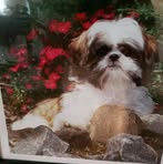 Barbara Lockridge - Facebook