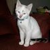 Barbara Loepp - Facebook