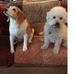 Barbara Lofgren - Facebook