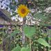 Barbara Klein Lofquist - Facebook