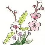 Barbara Lofton Brown - @barbaraloftonbrown - Instagram