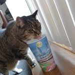Barbara Loftus - @barbara.loftus.37 - Instagram