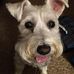 Barbara Loftus - Facebook