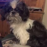 Barbara Everhart Loggins - @beloggins1956 - Instagram