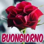 Barbara Lolli - @barbara.lolli.10 - Instagram