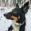 Barbara Lomas - @barbara.lomas - TikTok