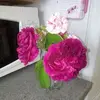 barbaraloneraganh - @barbaraloneraganh - TikTok