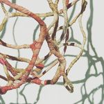 Barbara Long /Visual Artist - @barbaralong_art - Instagram