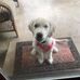 Barbara Loos - Facebook