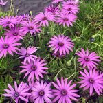 Barbara Loos - @barbara19157 - Instagram