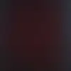 barbarasloose - @barbarasloose - TikTok