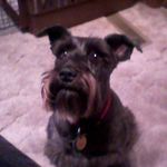 Barbara Lorance - @barbara.lorance.9 - Instagram