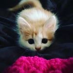 Barbara Lorca - @barbaralorca2 - Instagram