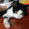 barbaralorek52 - @barbaralorek52 - TikTok