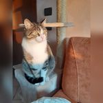 Barbara Lorenzini - @lorenzini373 - Instagram