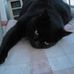 Barbara Lorenzini - Facebook