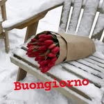 Barbara Lorenzini - @lorenzini944 - Instagram