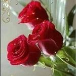 Barbara Lorenzini - @barbaralorenzini70 - Instagram
