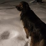 Barbara lorenzini - @lorenzini4676 - Instagram