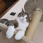 Barbara Lorenzini - @lorenzini132 - Instagram