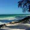 Barbara Loria - @barbara.loria73 - TikTok