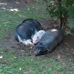Barbara Loschi - @barbaraloschi - Instagram
