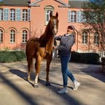Barbara Löscher - @barbara.loscher - Instagram
