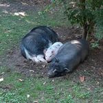 Barbara Loschi - @barbaraloschi - Instagram