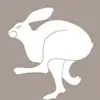 barbaraloschi6 - @barbaraloschi6 - TikTok