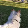 Barbaraloseto_08 - @barbara_loseto - TikTok