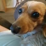 Barbara Lothrop - @barbaralothrop - Instagram