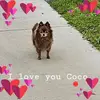 Barbara McGlothlin - Wohlleben - @barbara.mcglothli - TikTok