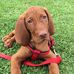 Barbara Lotti - Facebook