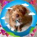 Barbara Lucey - Facebook