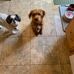 Barbara Lucey - Facebook